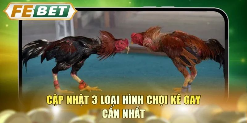 Cập nhật 3 loại hình chọi kê gay cấn nhất